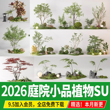 庭院小品植物组合景观树植物堆石头微地形苔藓造景草图大师SU模型