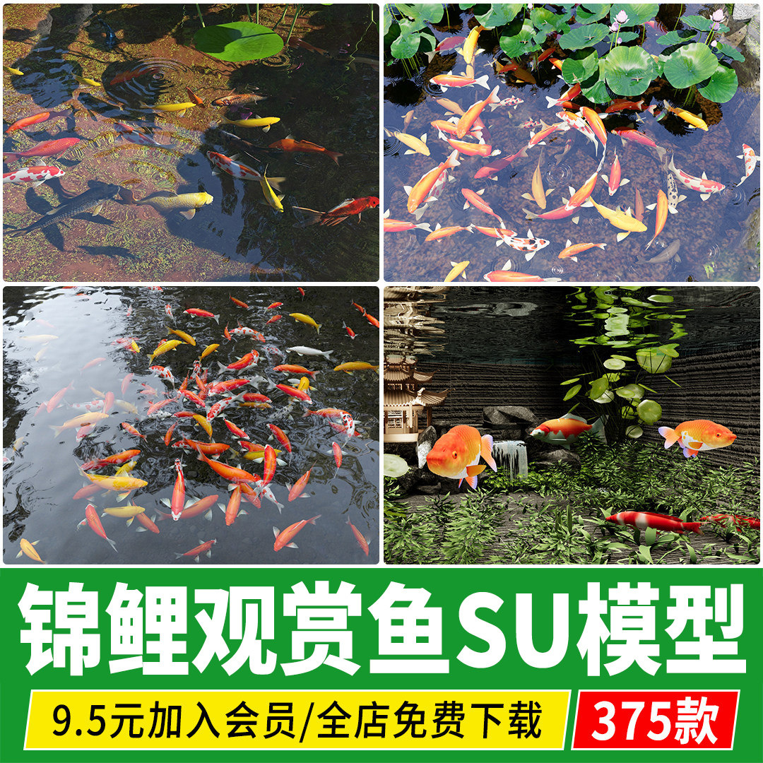 鱼池日本锦鲤鱼群鱼缸水族箱观赏鱼庭院金鱼热带鱼su模型草图大师