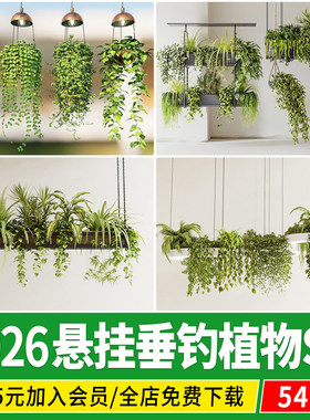 别墅庭院阳台露台屋顶花园花架墙壁悬挂垂钓植物吊篮su模型素材库