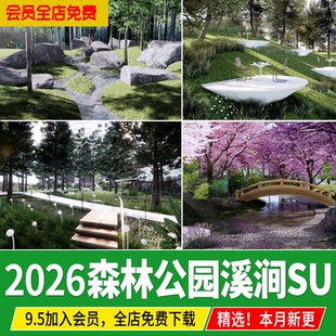 森林公园林地溪涧林下生态树林野趣丛林栈道山地溪流林间su模型