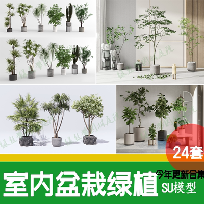 客厅店铺室内盆栽绿植摆件 花盆植物租摆绿化盆景 现代北欧su模型