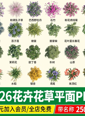 ps花卉PSD彩平图地被植物草本花境花镜灌木平面图例PNG procreate