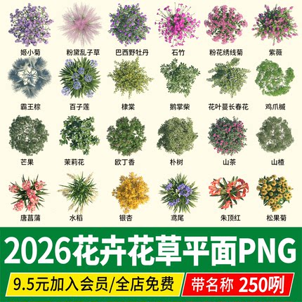 ps花卉PSD彩平图地被植物草本花境花镜灌木平面图例PNG procreate