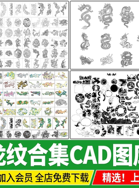 龙纹古典中式图案CAD施工图平面图库龙形装饰青铜酒樽祥龙cad图块