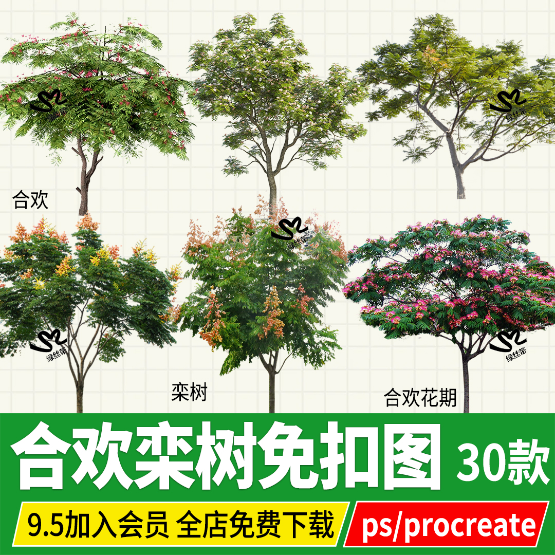 合欢栾树黄山栾procreate平板psd免扣效果图立面图素材png格式ps