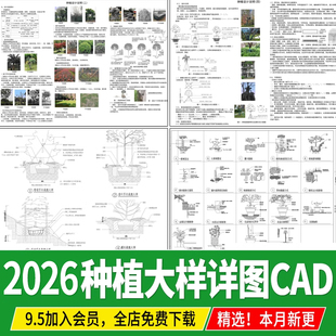园林景观绿化 植物种植施工大样图详图 设计说明 CAD施工图 图库