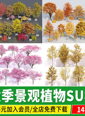 秋季植物秋天红色黄色银杏枫香色叶树景观树乔木春天樱花SU模型