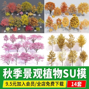 秋季植物秋天红色黄色银杏枫香色叶树景观树乔木春天樱花SU模型