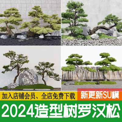 草图大师中式日式庭院植物造型树罗汉松迎客松院子黑松松树su模型