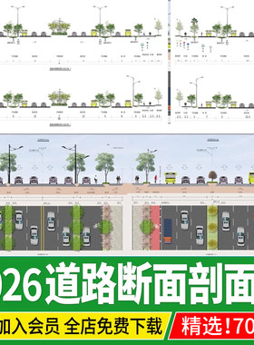 道路横断面图平立面剖面图标准段市政公园景观节点大样ps素材psd