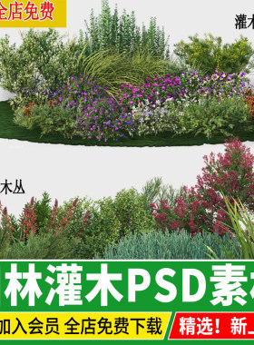 园林景观灌木丛组合 花园花境镜市政绿化效果图后期植物ps素材psd