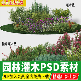 园林景观灌木丛组合 花园花境镜市政绿化效果图后期植物ps素材psd
