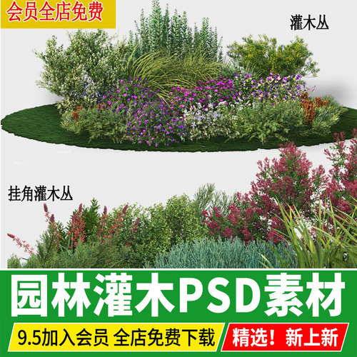 园林景观灌木丛组合 花园花境镜市政绿化效果图后期植物ps素材psd