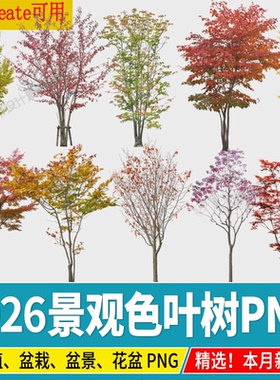 园林景观色叶树PNG黄色树木银杏红枫秋季秋天效果图植物PS素材psd