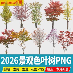园林景观色叶树PNG黄色树木银杏红枫秋季秋天效果图植物PS素材psd