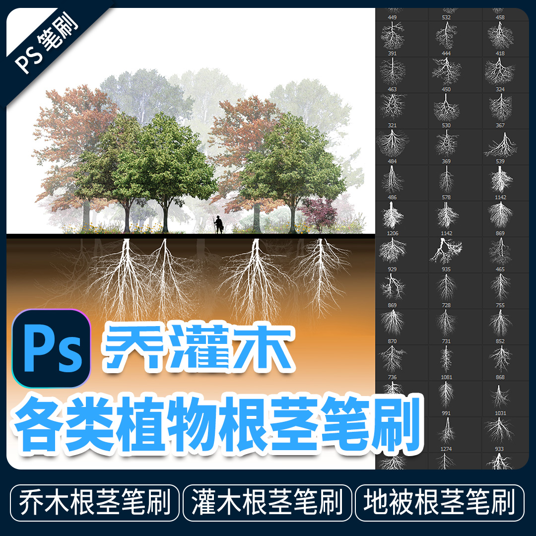 植物根茎树根剪影PS笔刷 png免扣 乔木地被分析图剖面图procreate