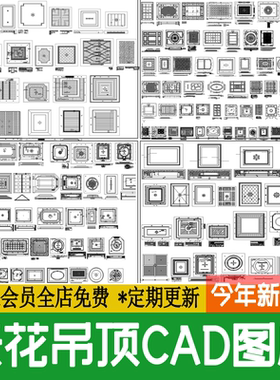 室内家装天花吊顶棚样式CAD平面大样图库客厅餐厅图块图集施工图