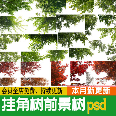 园林景观建筑效果图后期前景树挂角树ps素材树枝边角植物psd免抠