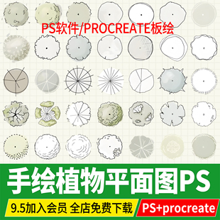 手绘风平面树木psd景观植物彩平图线稿风ps素材procreate图块图例