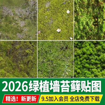 苔藓植物禅意微景观地被绿植墙面小大灰藓纹理SU材质ps贴图素材