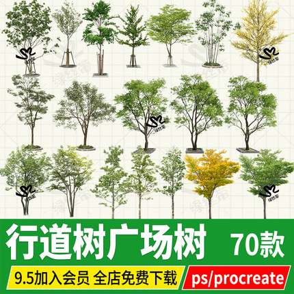 行道树广场树池植物procreate立面效果图后期PSD分层PS素材png