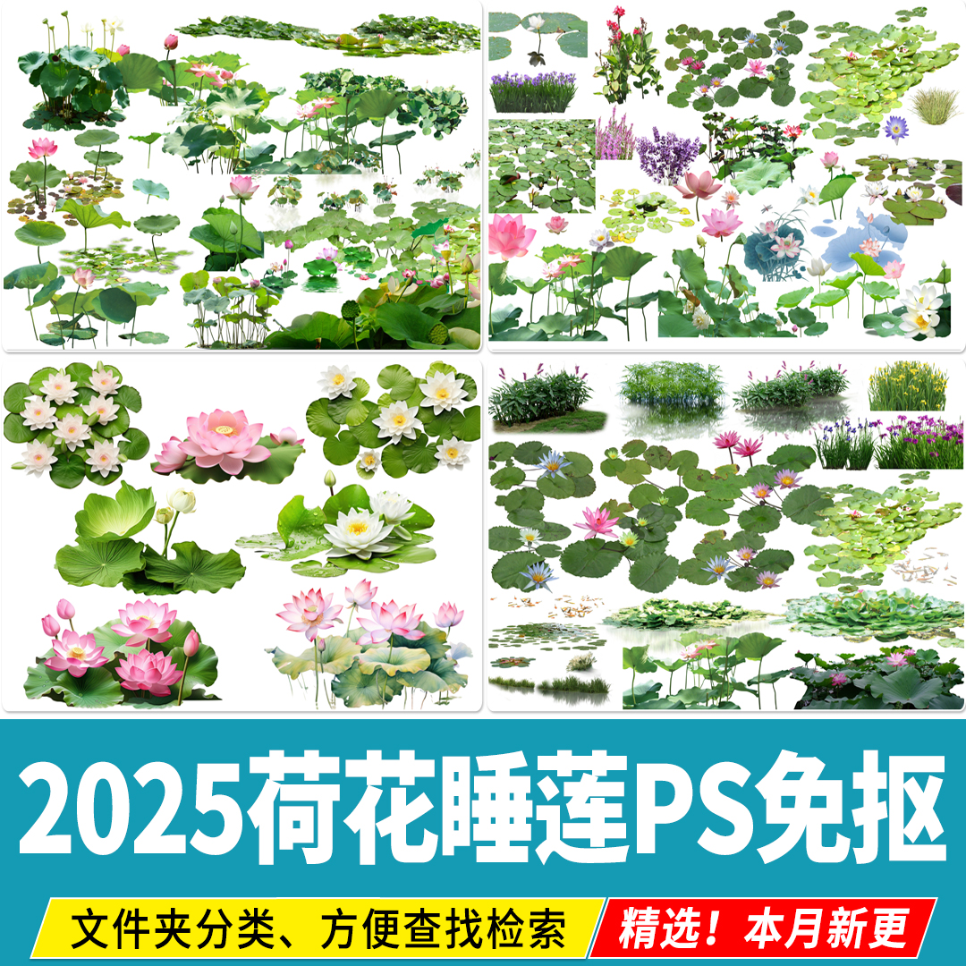 荷花睡莲水生植物池塘莲花荷叶彩平平面效果图后期PSD免扣PS素材