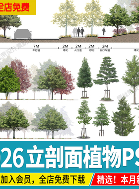 景观立面图小清新树木psd剖面图效果图海绵城市规划植物ps素材