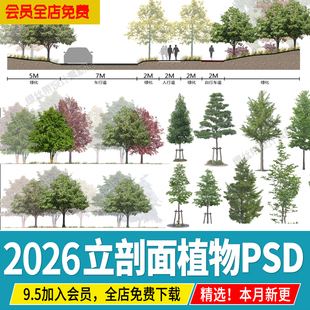 景观立面图小清新树木psd剖面图效果图海绵城市规划植物ps素材
