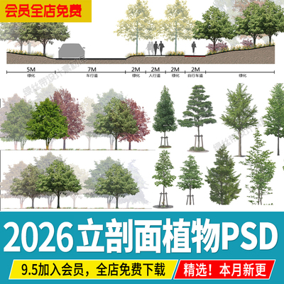景观立面图小清新树木psd剖面图效果图海绵城市规划植物ps素材