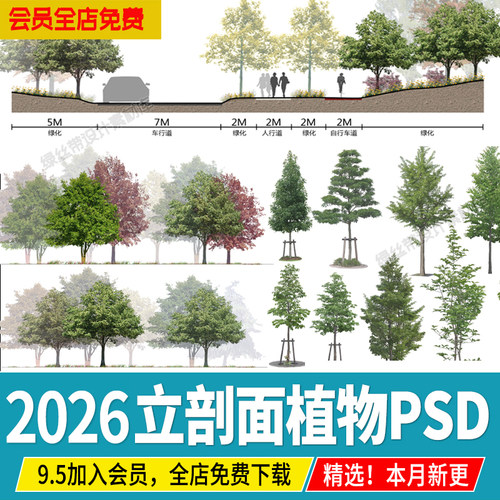 景观立面图小清新树木psd剖面图效果图海绵城市规划植物ps素材