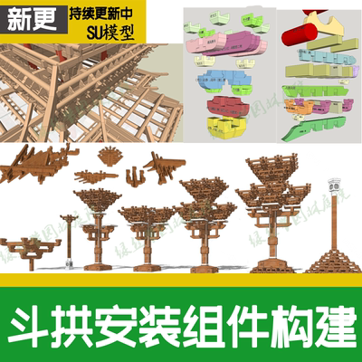 斗拱木结构中式古建筑构件组件卯榫工艺屋架构造木工做法图su模型