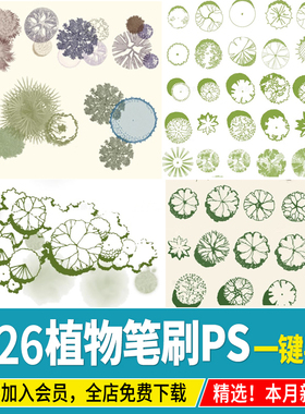 平面植物PS笔刷乔木灌木树木小清新灰色手绘风总平面彩平植物笔刷