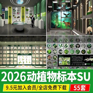 动物植物标本科普展厅展示墙昆虫自然生态展览馆草图大师SU模型