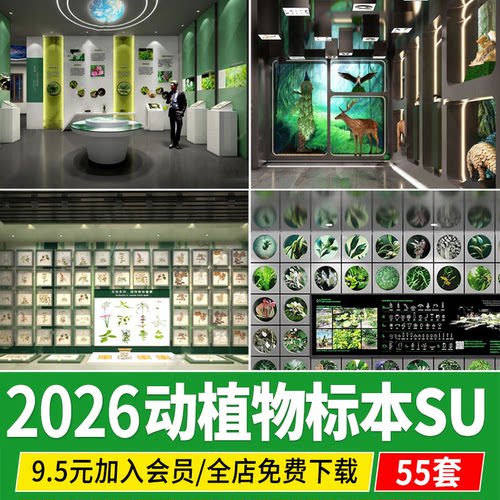 动物植物标本科普展厅展示墙昆虫自然生态展览馆草图大师SU模型