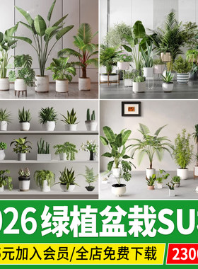 绿植盆栽草图大师花盆花钵花卉盆景现代办公室室内植物组合su模型