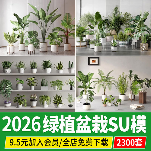 绿植盆栽草图大师花盆花钵花卉盆景现代办公室室内植物组合su模型