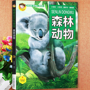 森林动物小百科全书童眼观世界识天下儿童趣味科普馆小常识聪颖宝贝中国少年儿童十万个为什么揭秘动物王国365夜启蒙认知早教书籍