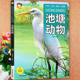 池塘动物小百科全书童眼观世界识天下儿童趣味科普馆绘本常识聪颖宝贝中国少年儿童十万个为什么揭秘动物王国365启蒙早教认知书籍