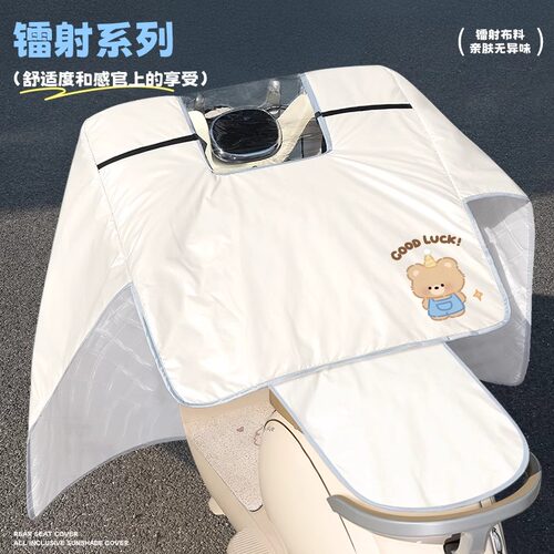 日本进口电动车挡风被