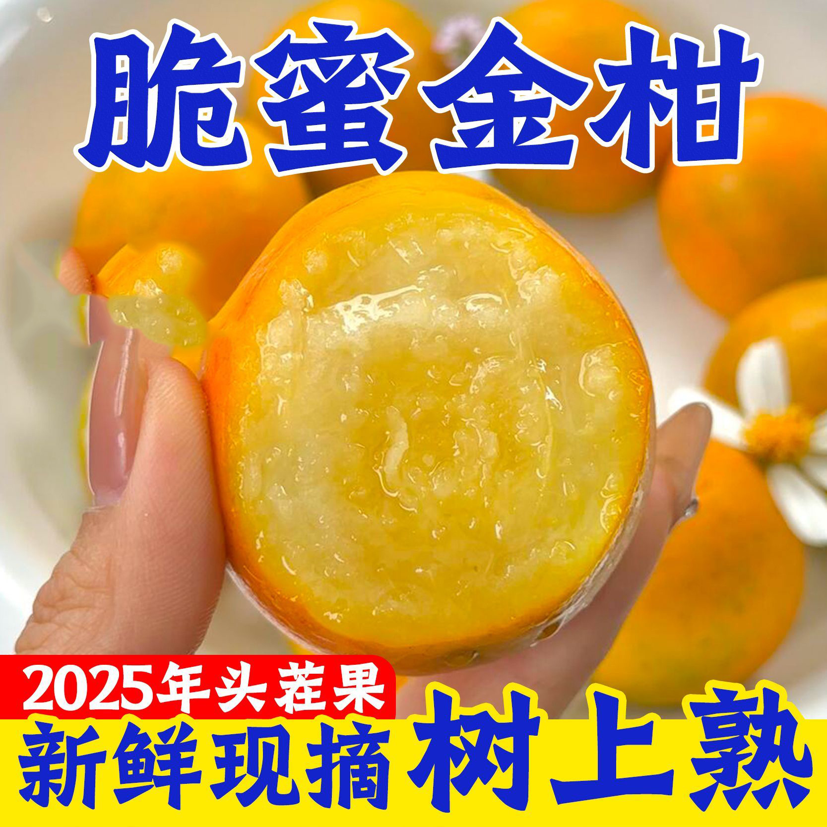 广西脆蜜金柑第三代脆蜜金桔