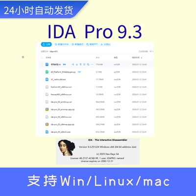 IDA Pro 9.3 交互式反汇编工具 代码分析研究软件开发 Win+Mac