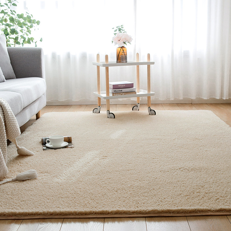 冬季加厚羊羔绒床边地毯客厅卧室ins风房间毛毯地垫整铺长飘窗垫