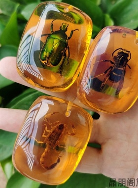 小动物琥珀昆虫标本树脂