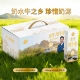 广西尊牧天山水牛纯牛奶优质乳蛋白全脂牛奶学生早餐儿童营养补充