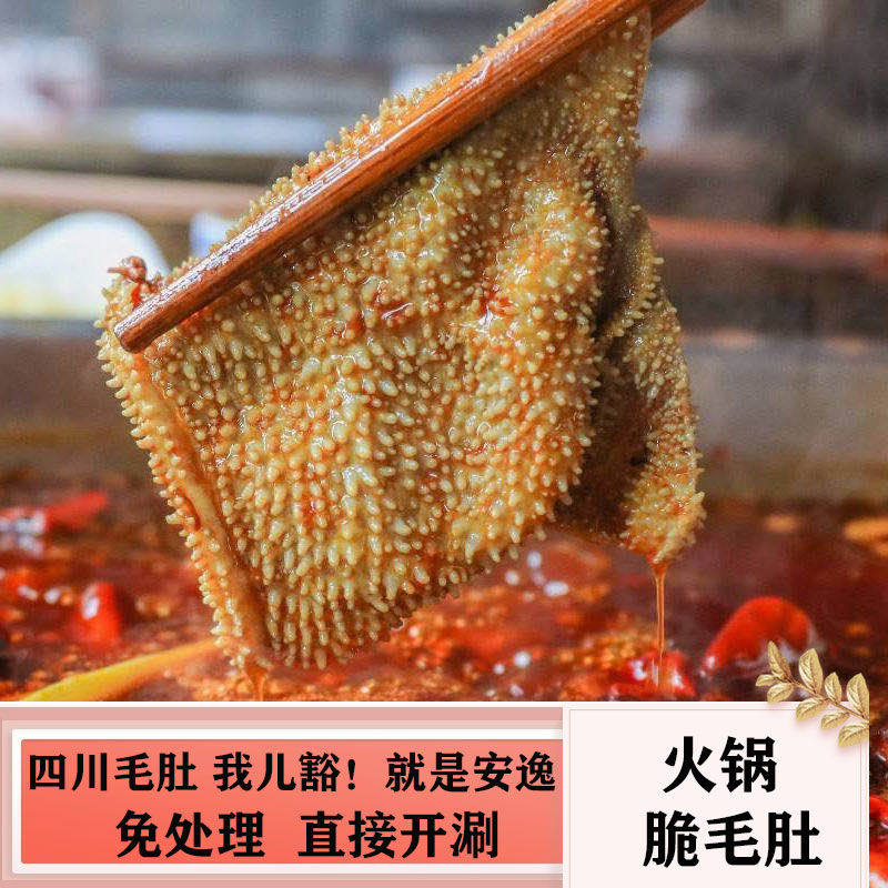 毛肚千层肚火锅毛肚水发牛百叶牛肚叶片重庆火锅冒菜食材
