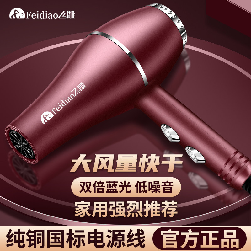 理发店大功率吹风机强风家用发廊专用电吹风冷热风蓝光护发电吹风