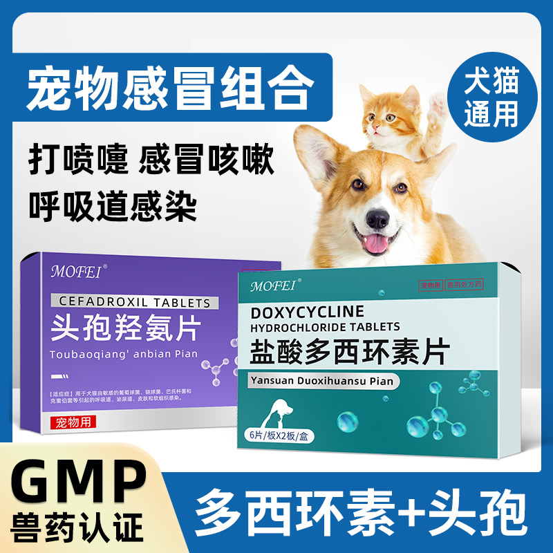 双赢彩票下载花1000天出一款肠胃粮国产宠物品牌的研发开始玩真的了