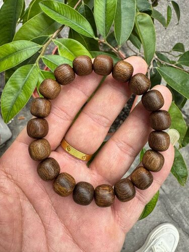 加里曼丹沉香手串11mm约17克男女士文玩佛珠单圈手链花蜜药香醇厚