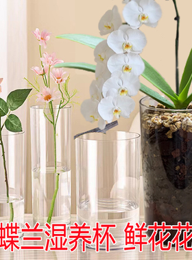 蝴蝶兰湿养杯花盆亚克力花瓶透明水培盆精致桌面养花园艺圆形阳台