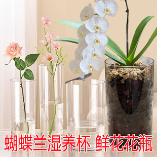 蝴蝶兰湿养杯花盆亚克力花瓶透明水培盆精致桌面养花园艺圆形阳台